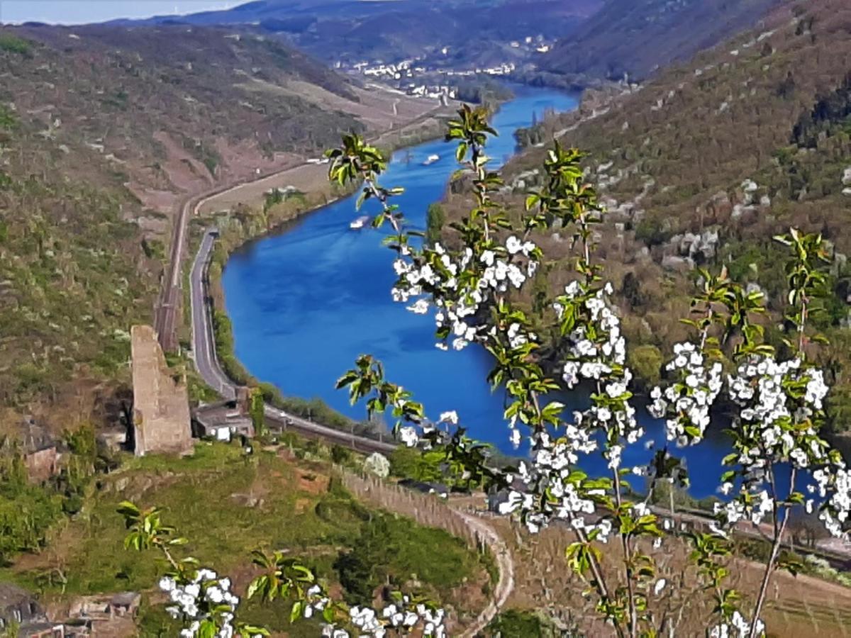 Weinhotel Hubertus Garni Klotten Dış mekan fotoğraf